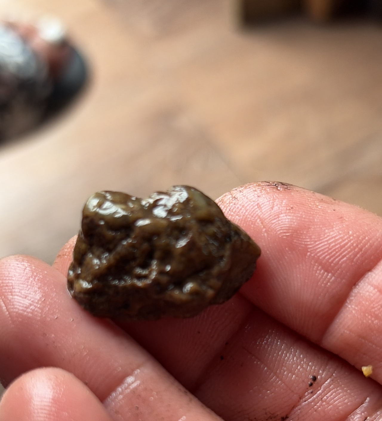 Raw Ambergris Specimen