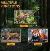 Digital Night Vision Binoculars with 2.4" Screen - Image 2