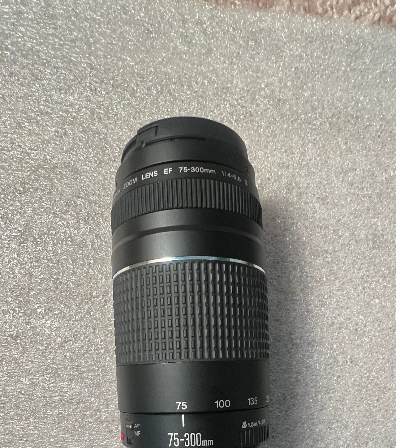 Canon EF 75-300mm f/4-5.6 III Lens