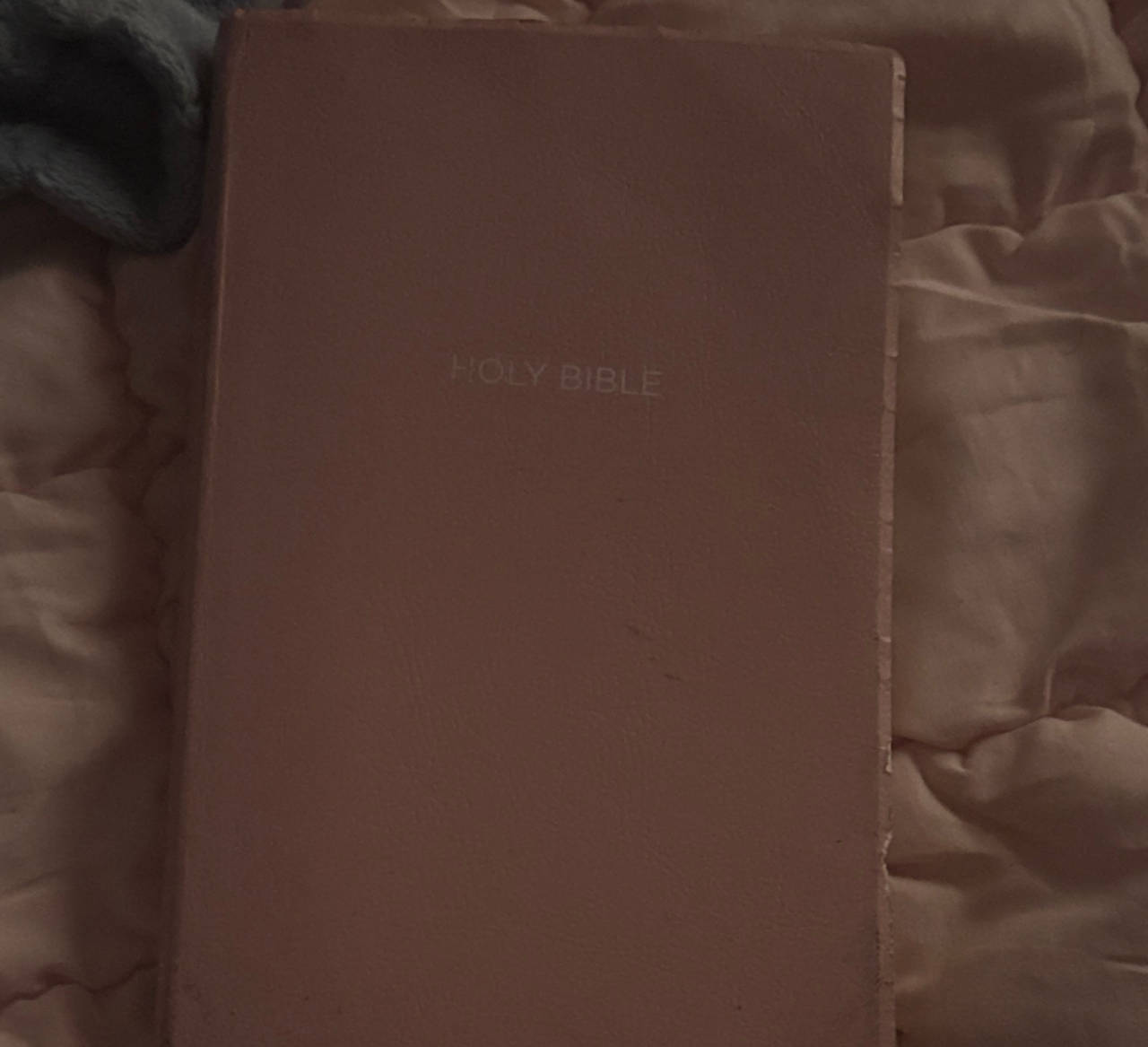 Holy Bible Pink Edition