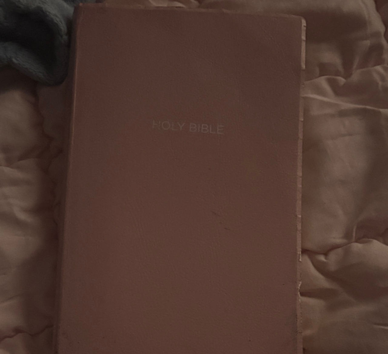 Holy Bible Pink Edition