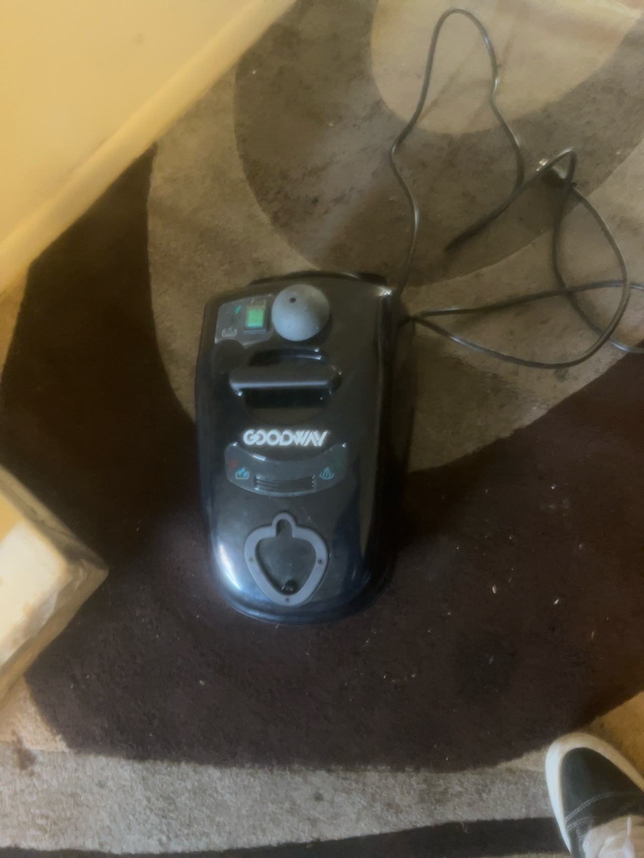 Goodway Technologies GVC-1100 Portable Dry Steam Cleaner