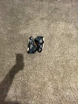 toddler sneakers - Image 1