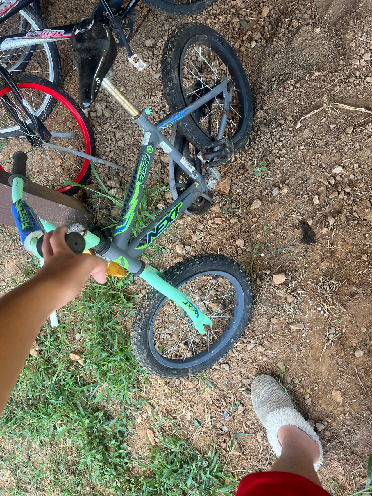 Next Surge Kids Bike