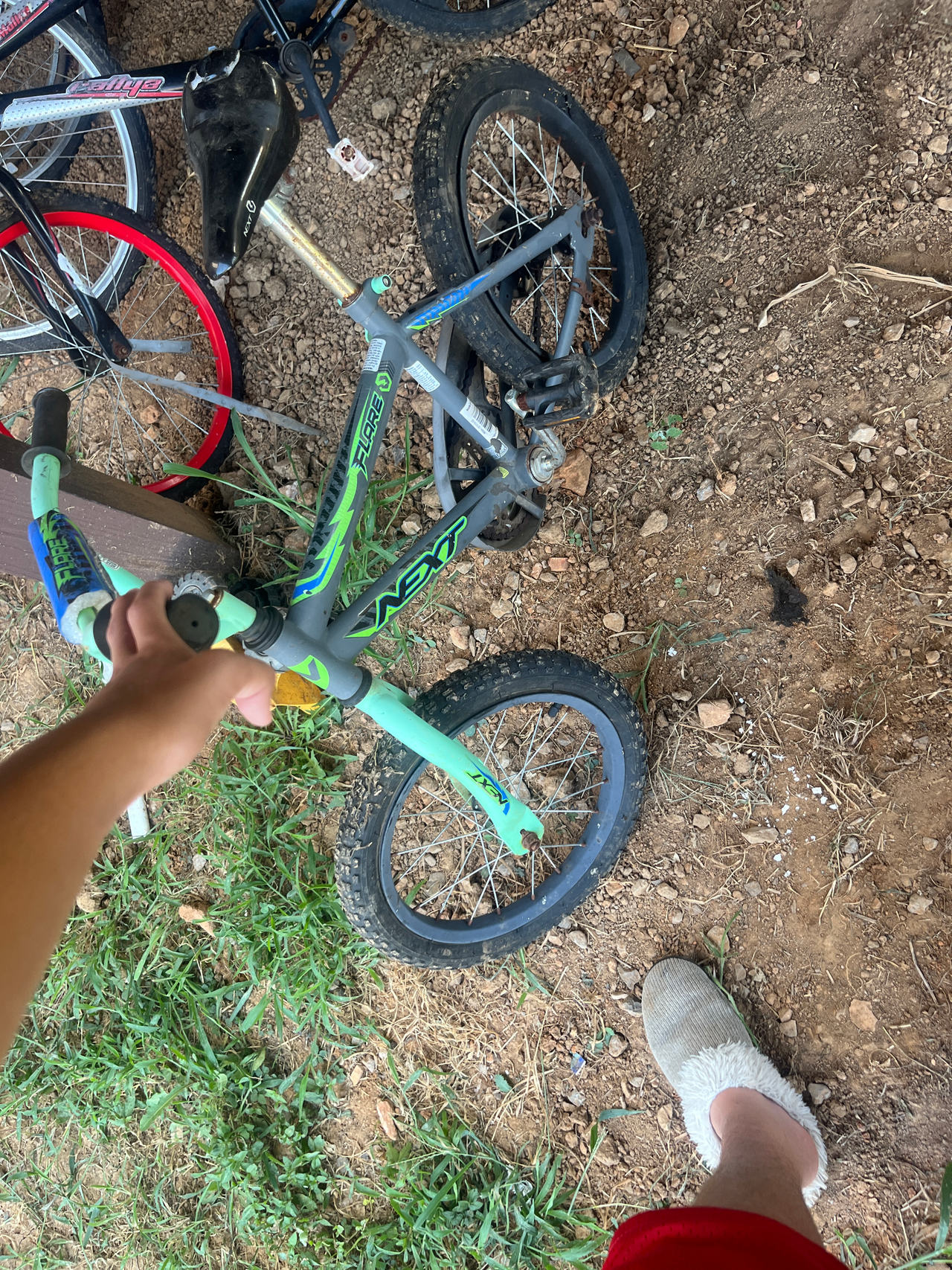 Next Surge Kids Bike