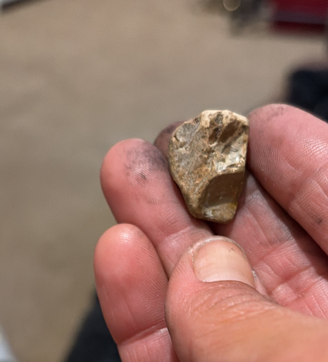 Native American Stone Tool Flake