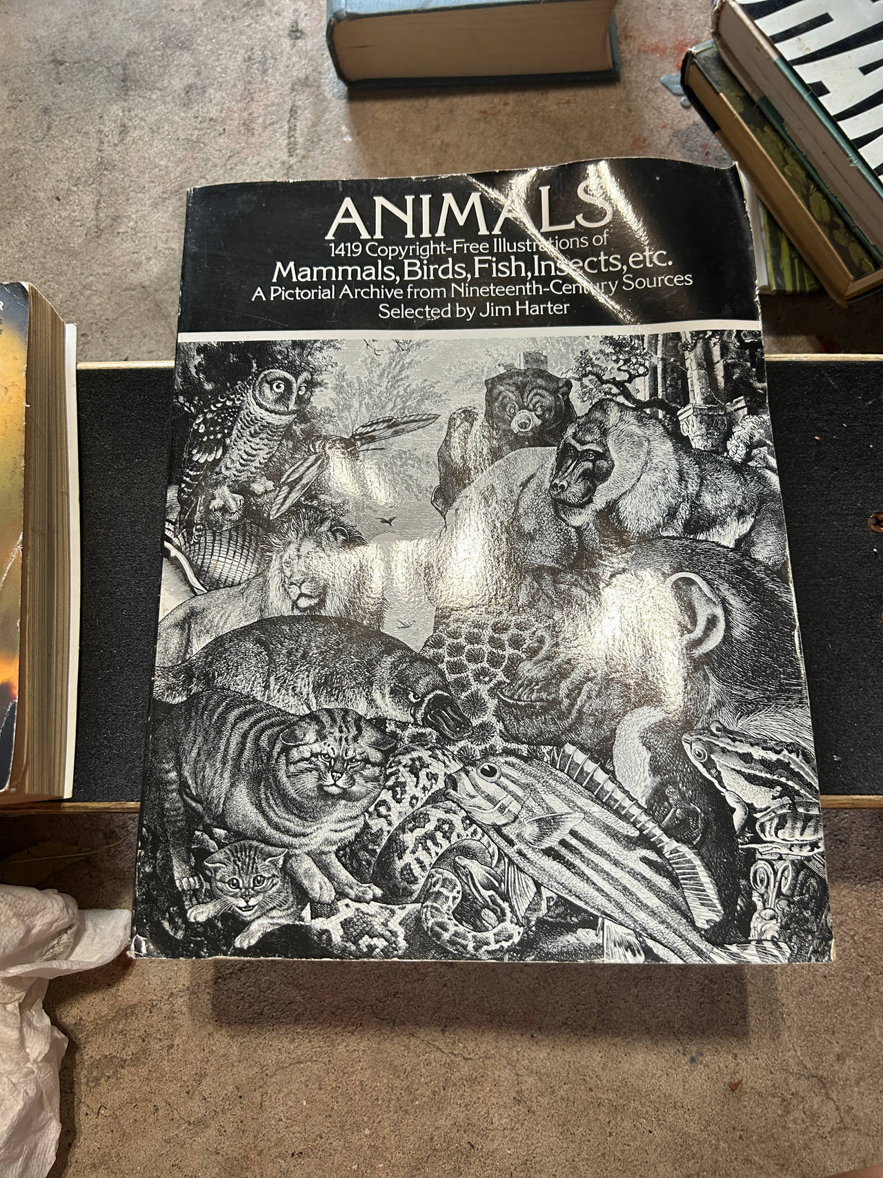 Animals: 1419 Copyright-Free Illustrations of Mammals, Birds, Fish, Insects, etc.