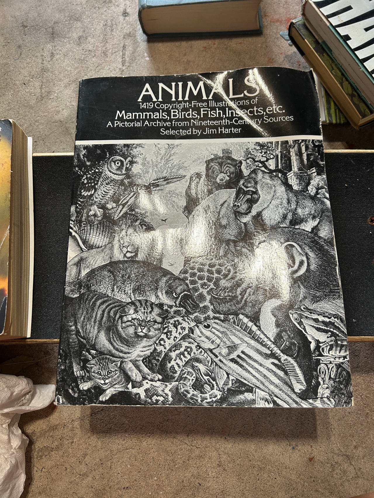 Animals: 1419 Copyright-Free Illustrations of Mammals, Birds, Fish, Insects, etc.