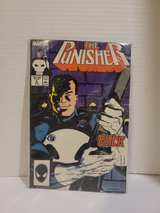 The Punisher #5 (1987) - Image 2