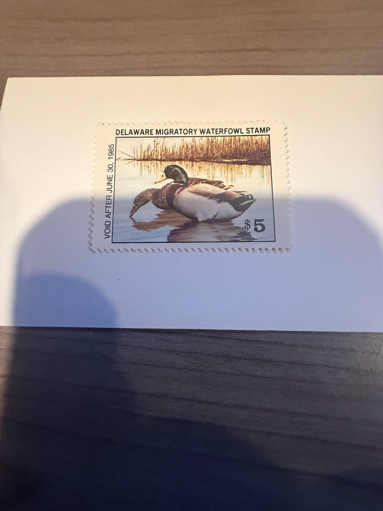 1984 Delaware Migratory Waterfowl Stamp