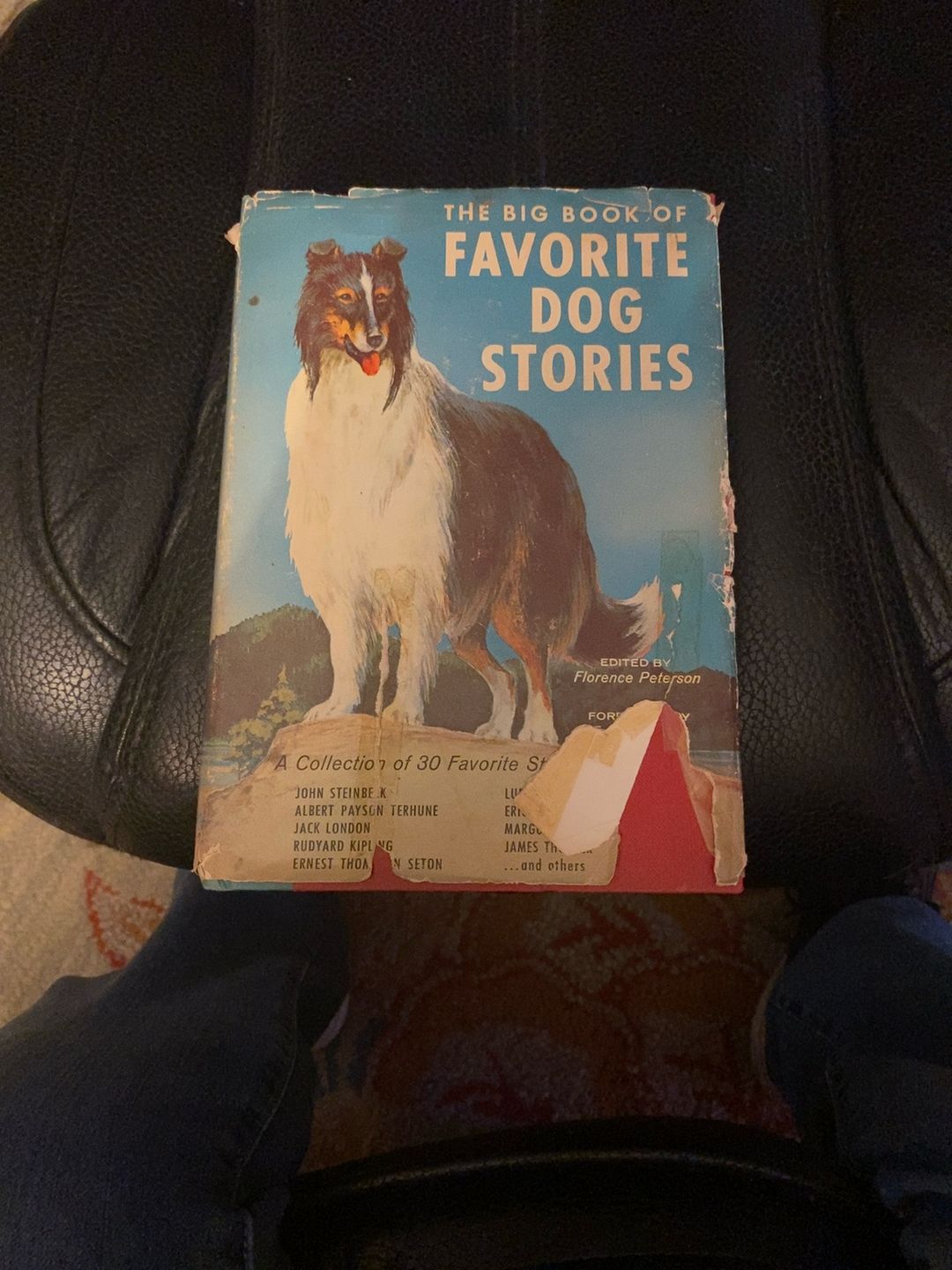 The Big Book of Favorite Dog Stories by Florence Peterson