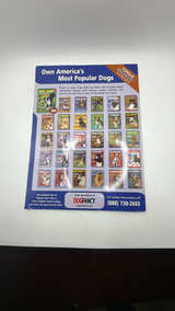 Boston Terrier Magazine Vintage 2003 Issue - Image 2