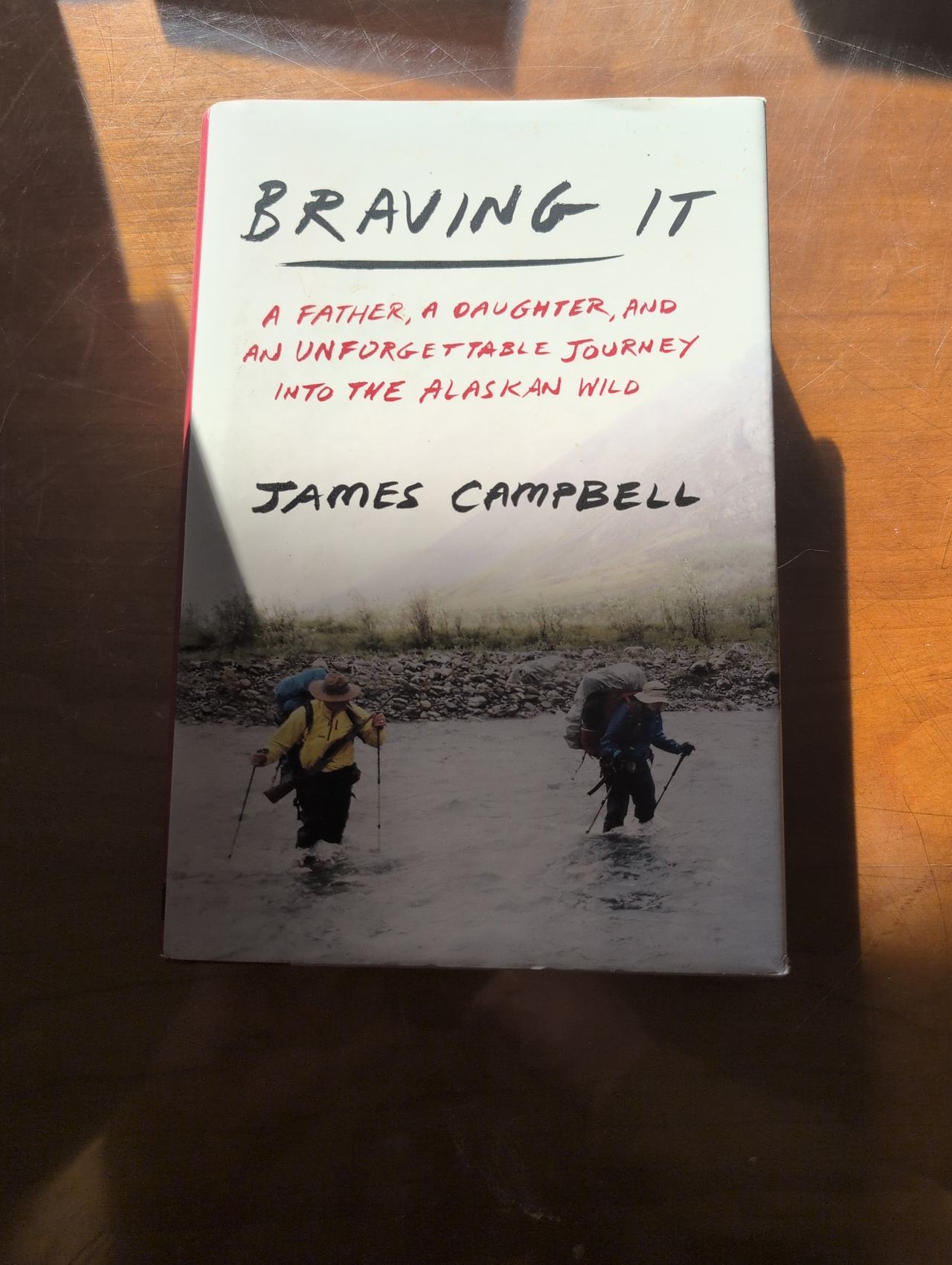 Braving It by James Campbell (Hardcover)