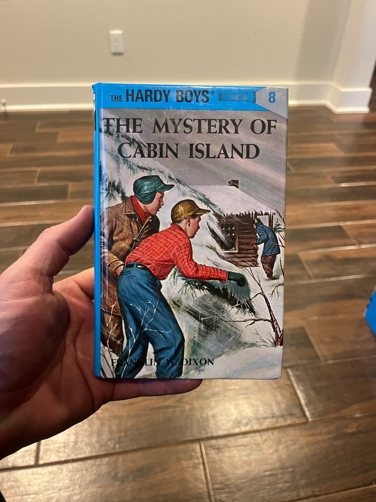 The Hardy Boys: The Mystery of Cabin Island
