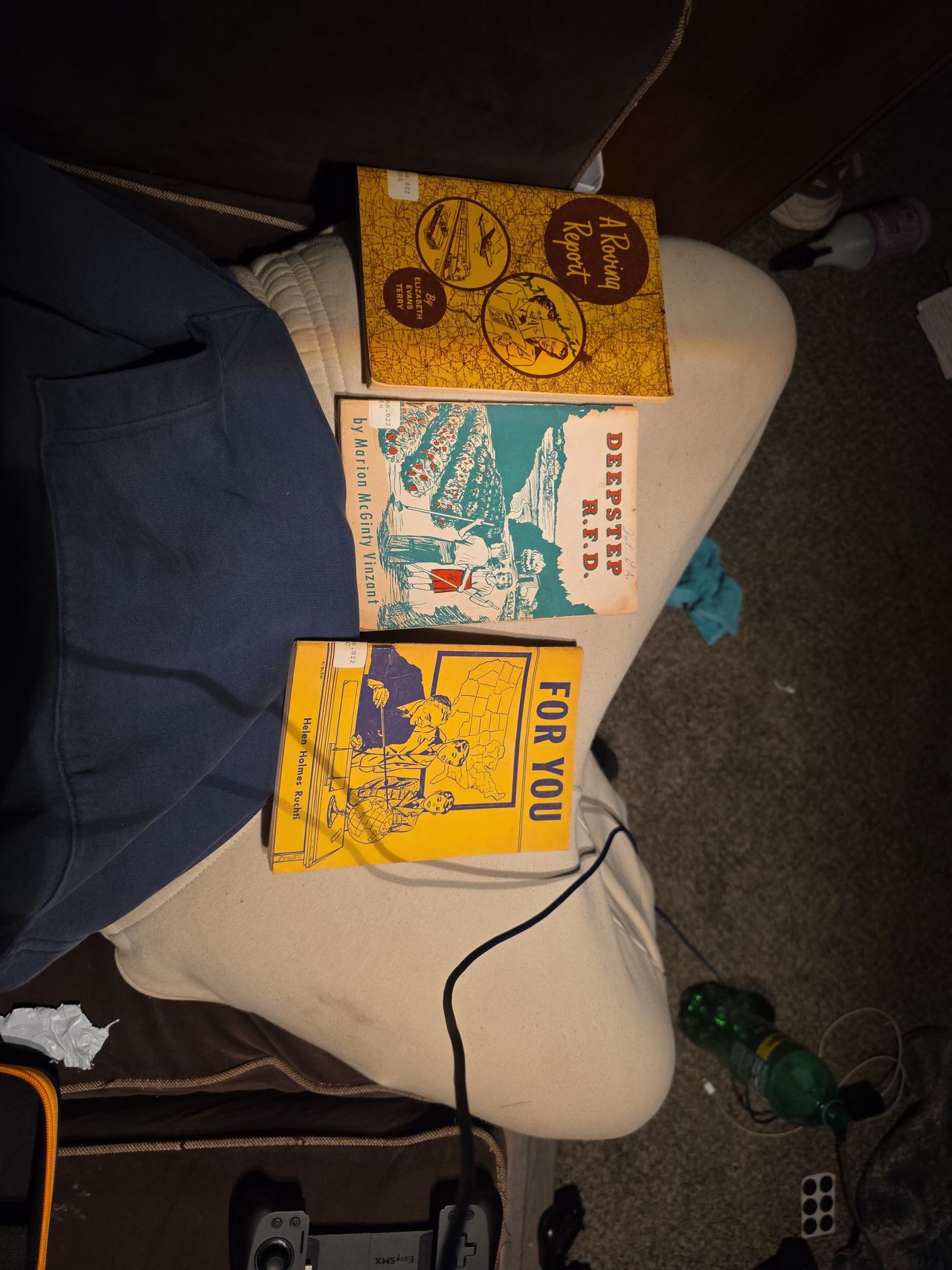A Roving Report by Elizabeth Terry