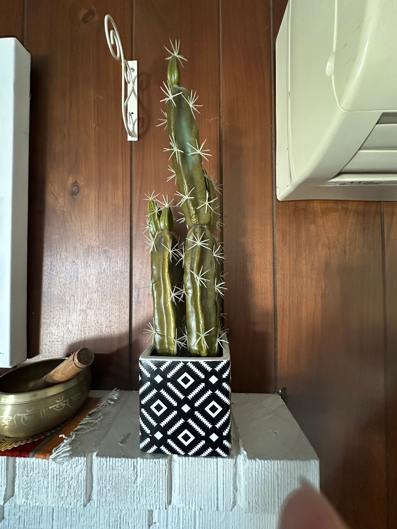 Artificial Cactus Plant in Decorative Pot