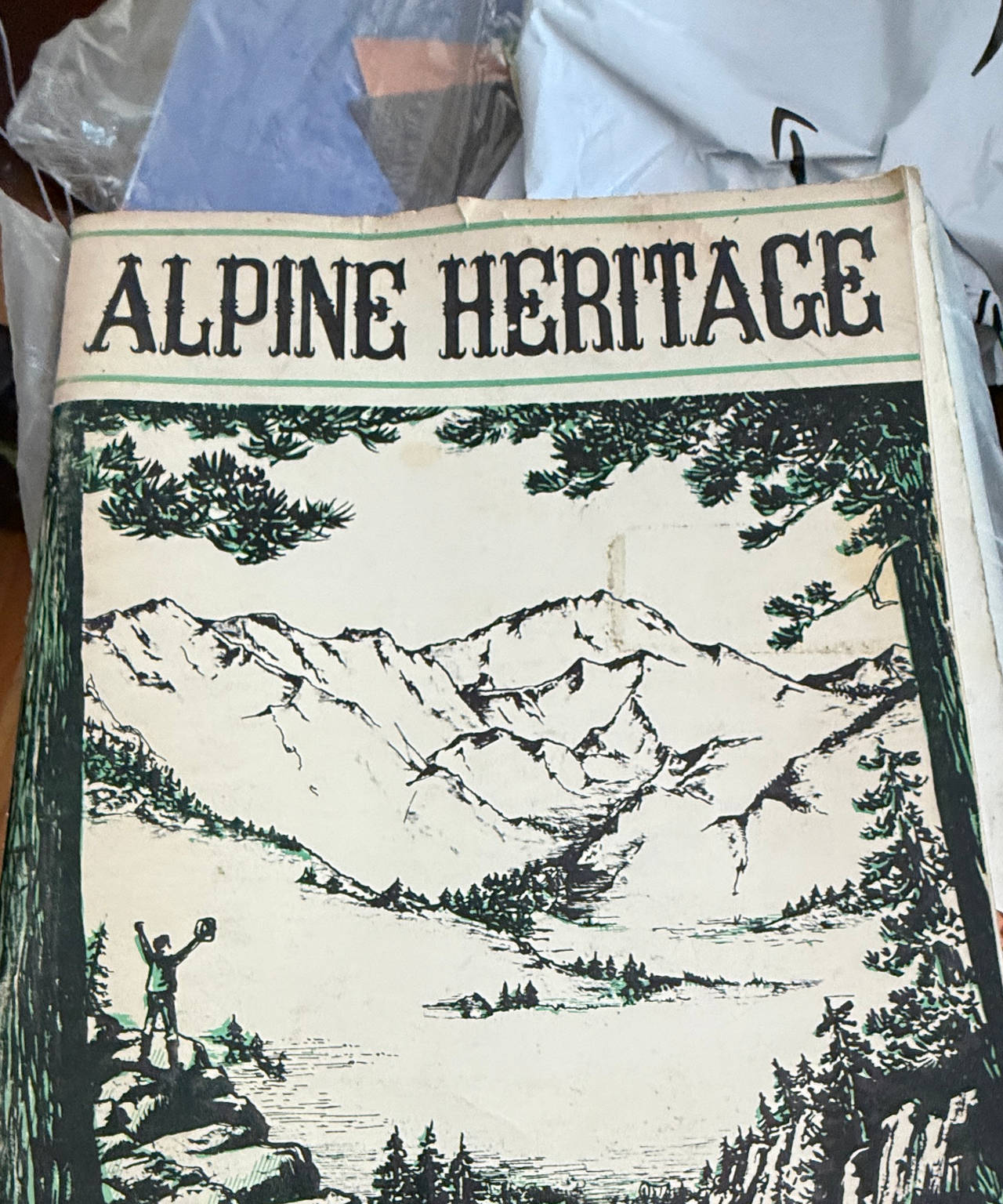 Alpine Heritage: History of Alpine, Utah 1850-1970