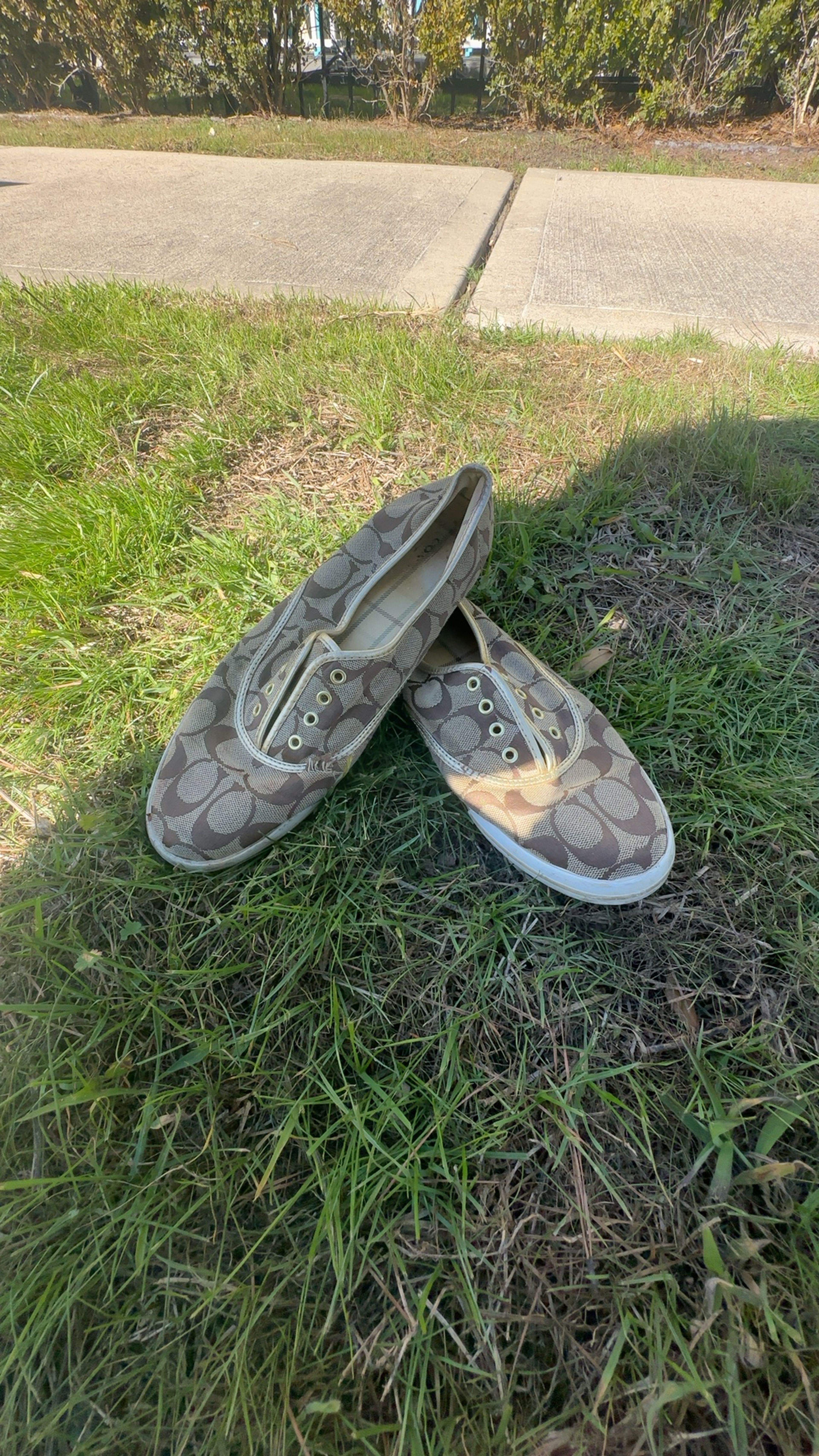 Coach Audrina Signature Jacquard Canvas Sneakers Brown/Gold