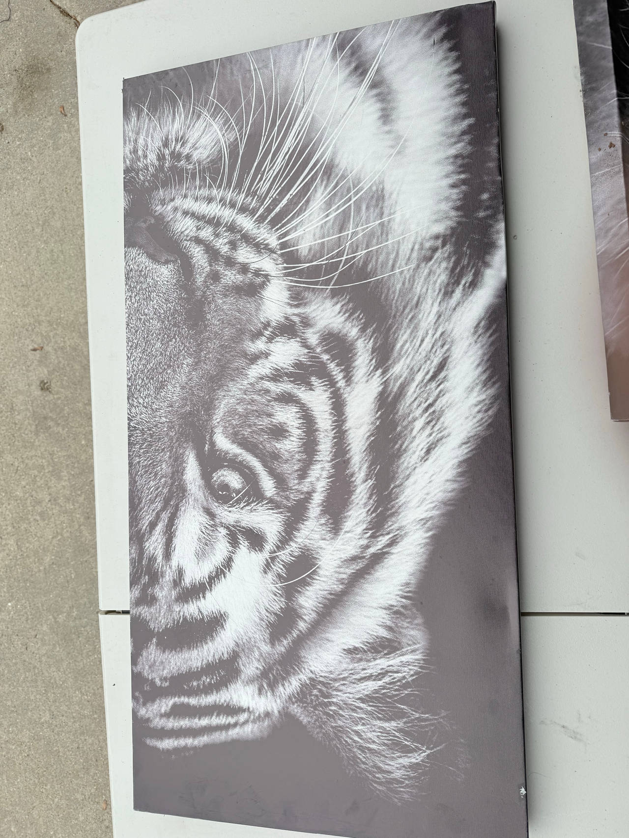 Black and White Tiger Canvas Wall Art
