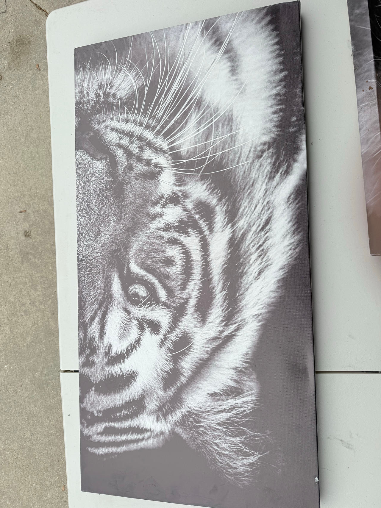 Black and White Tiger Canvas Wall Art