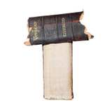 Vitalogy Large 1909 Home Health Human Anatomy Antique Hardcover - Image 8
