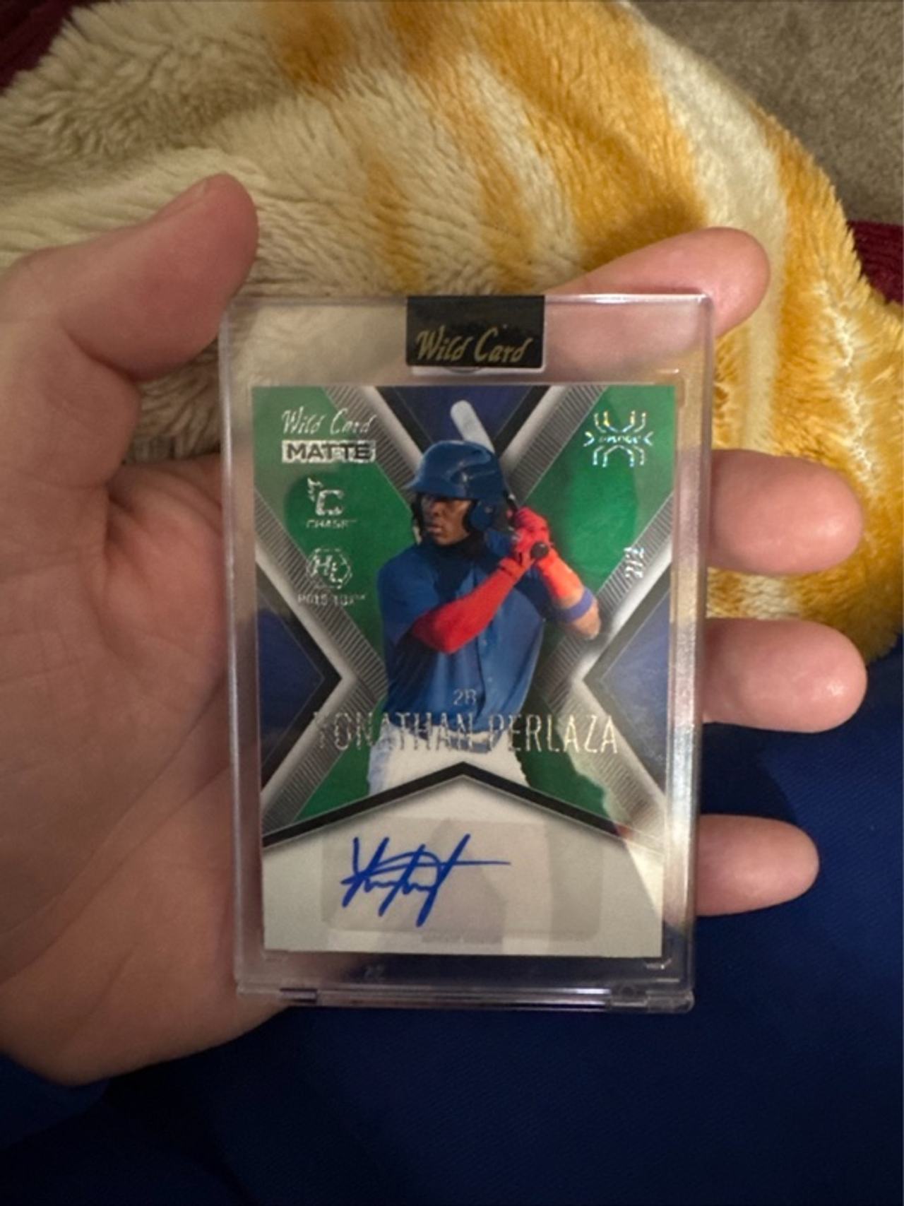 Panini Wild Card Matte X-Plode Baseball Card