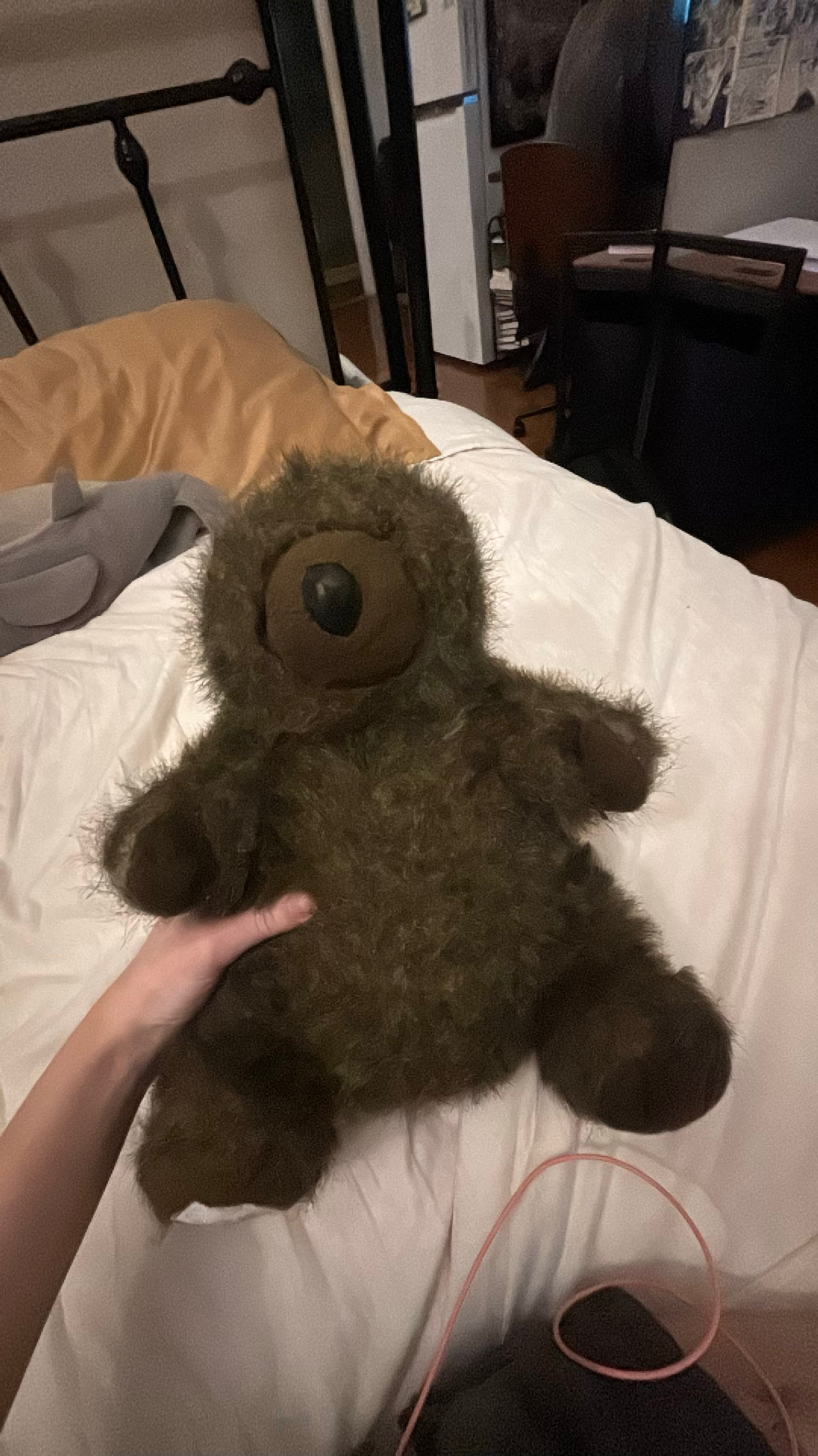 Teddy Bear