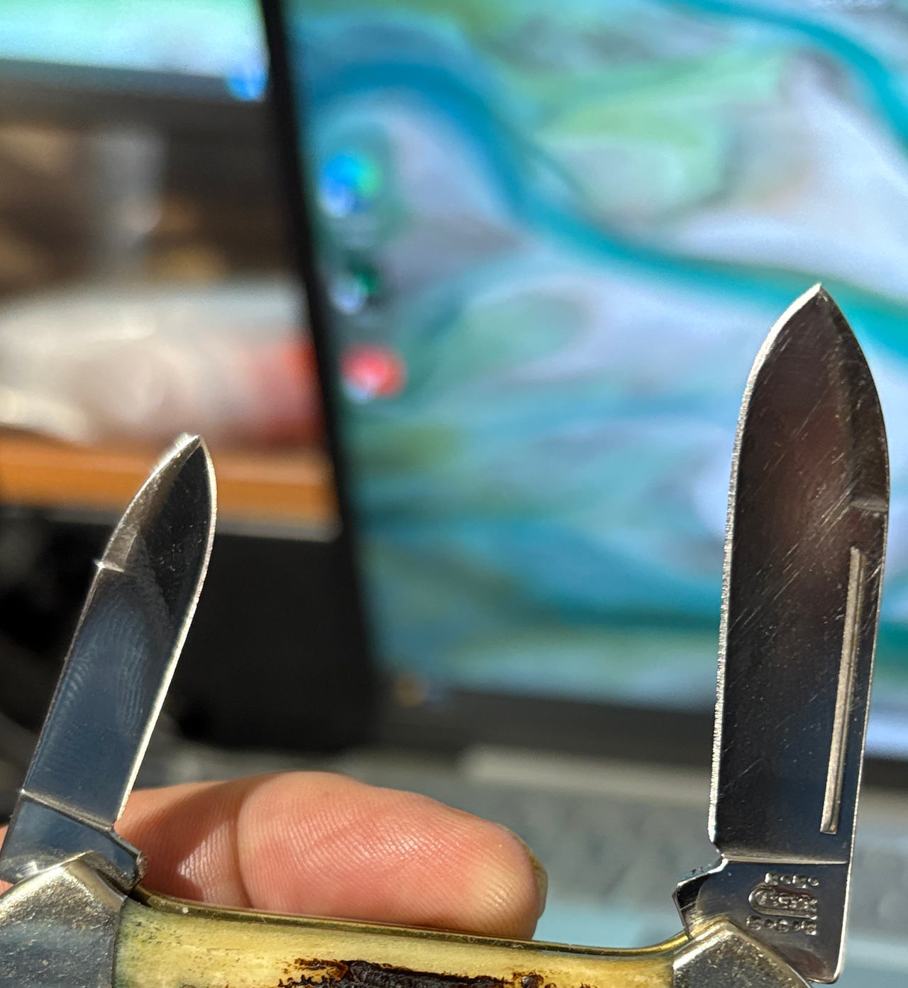 Case XX Stag Handle Pocket Knife