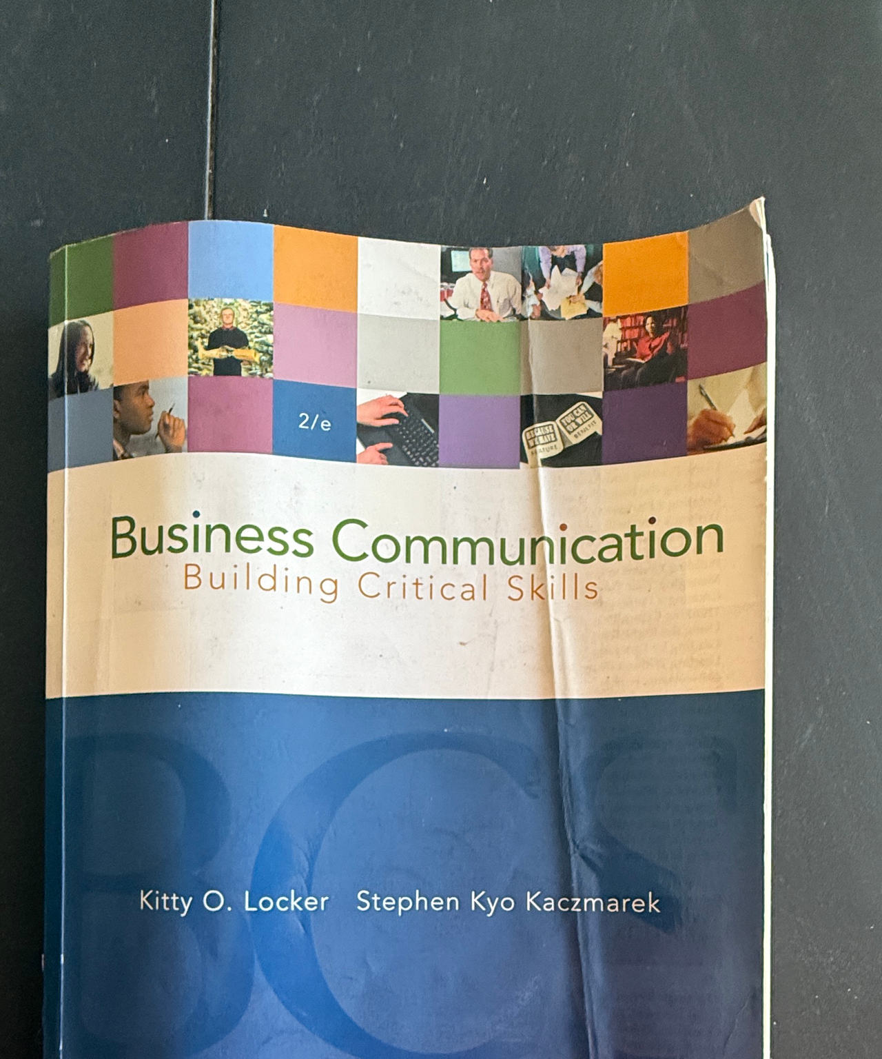 Business Communication: Building Critical Skills (2nd Edition) by Kitty O. Locker and Stephen Kyo Kaczmarek