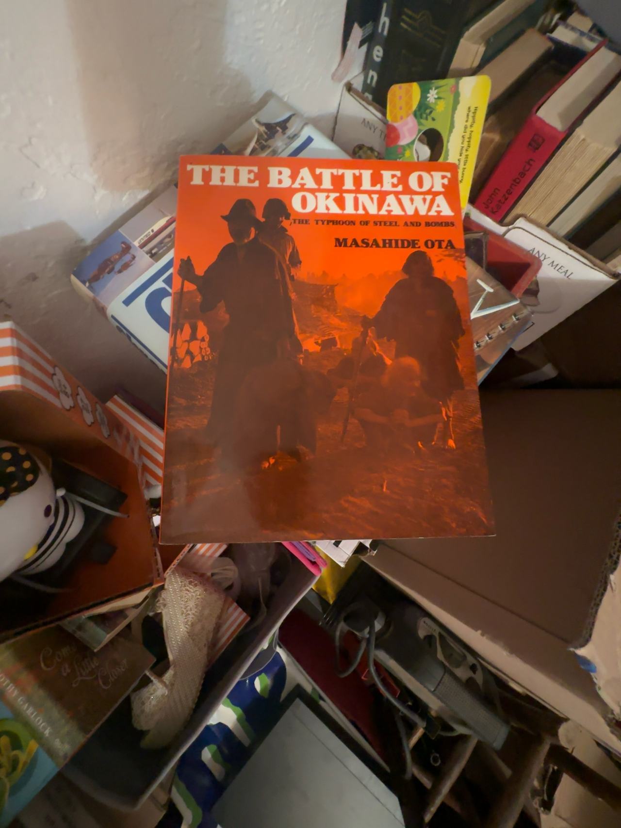 The Battle of Okinawa: Typhoon of Steel and Bombs