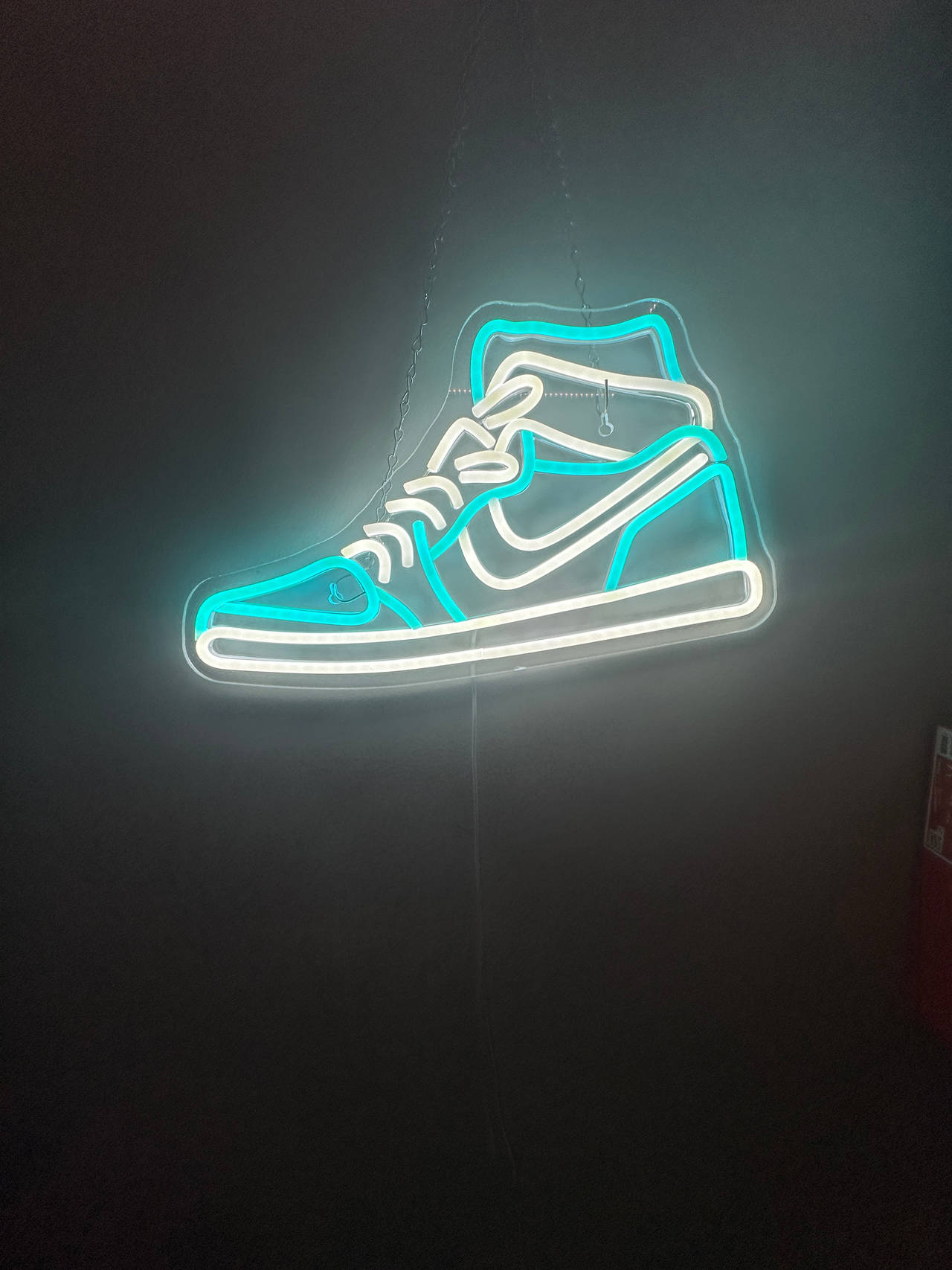 Nike Sneaker Neon Sign