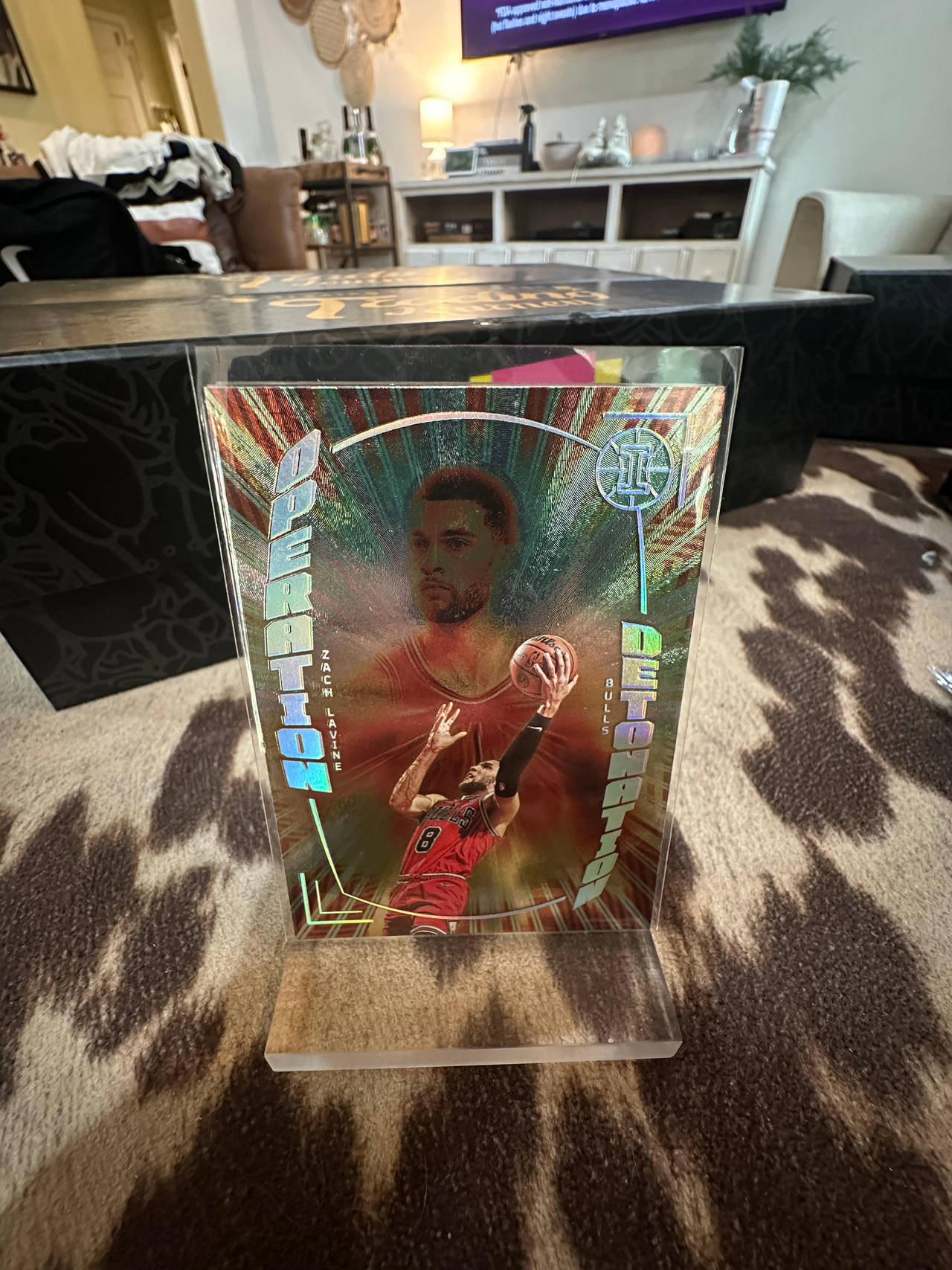 Panini NBA Trading Card