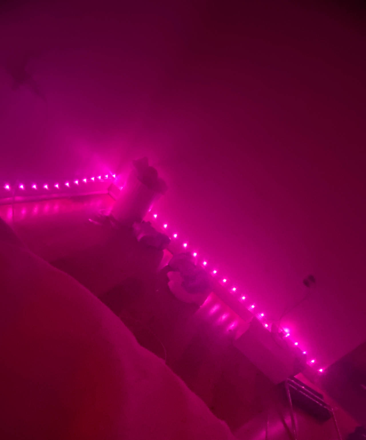 RGB LED Strip Lights