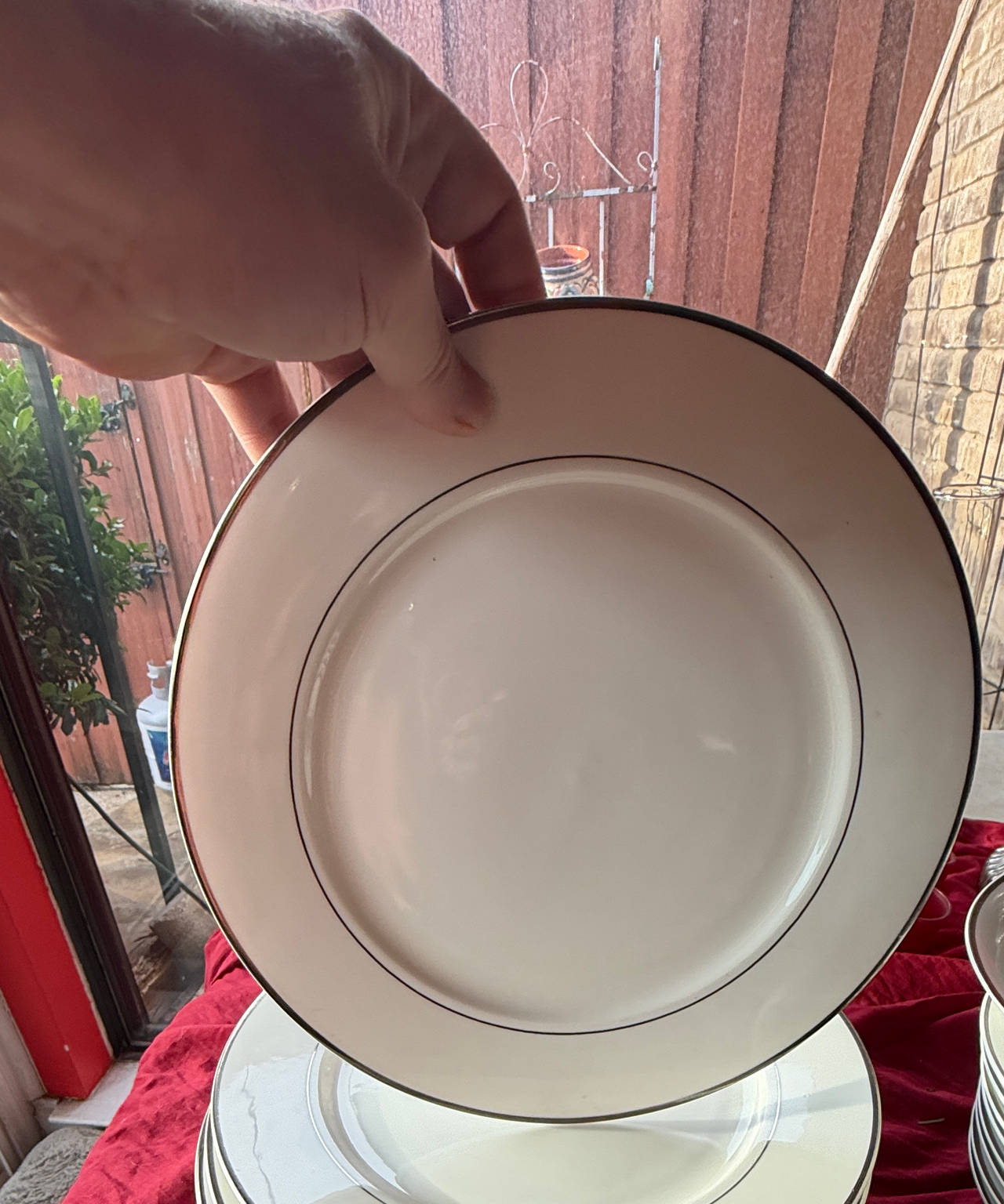 Hausenware Silver Trim Dinner Plates - Set of 8