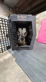 Ruff Land Performance Kennel Two Door Gen 2 - Image 2