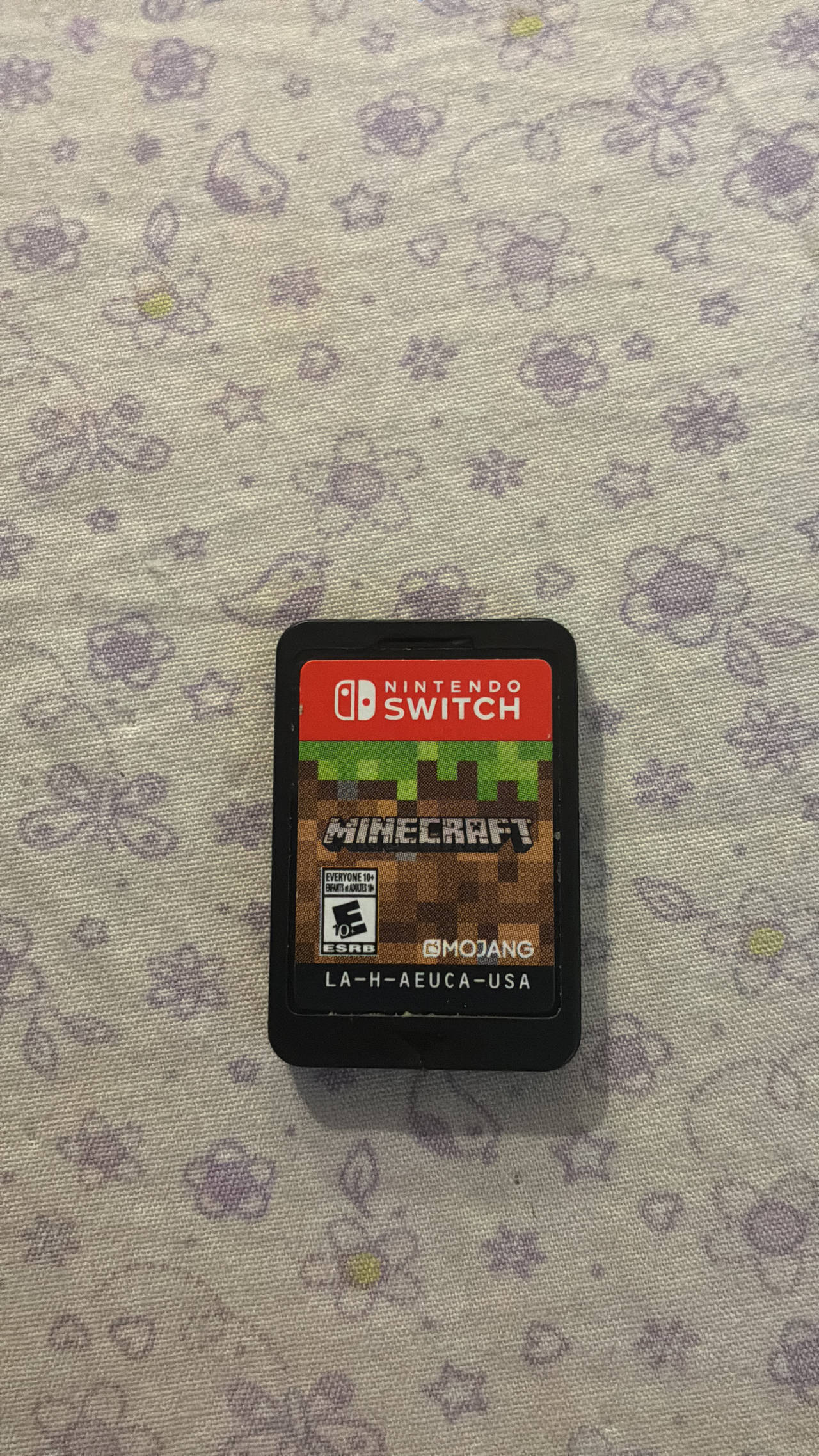 Minecraft