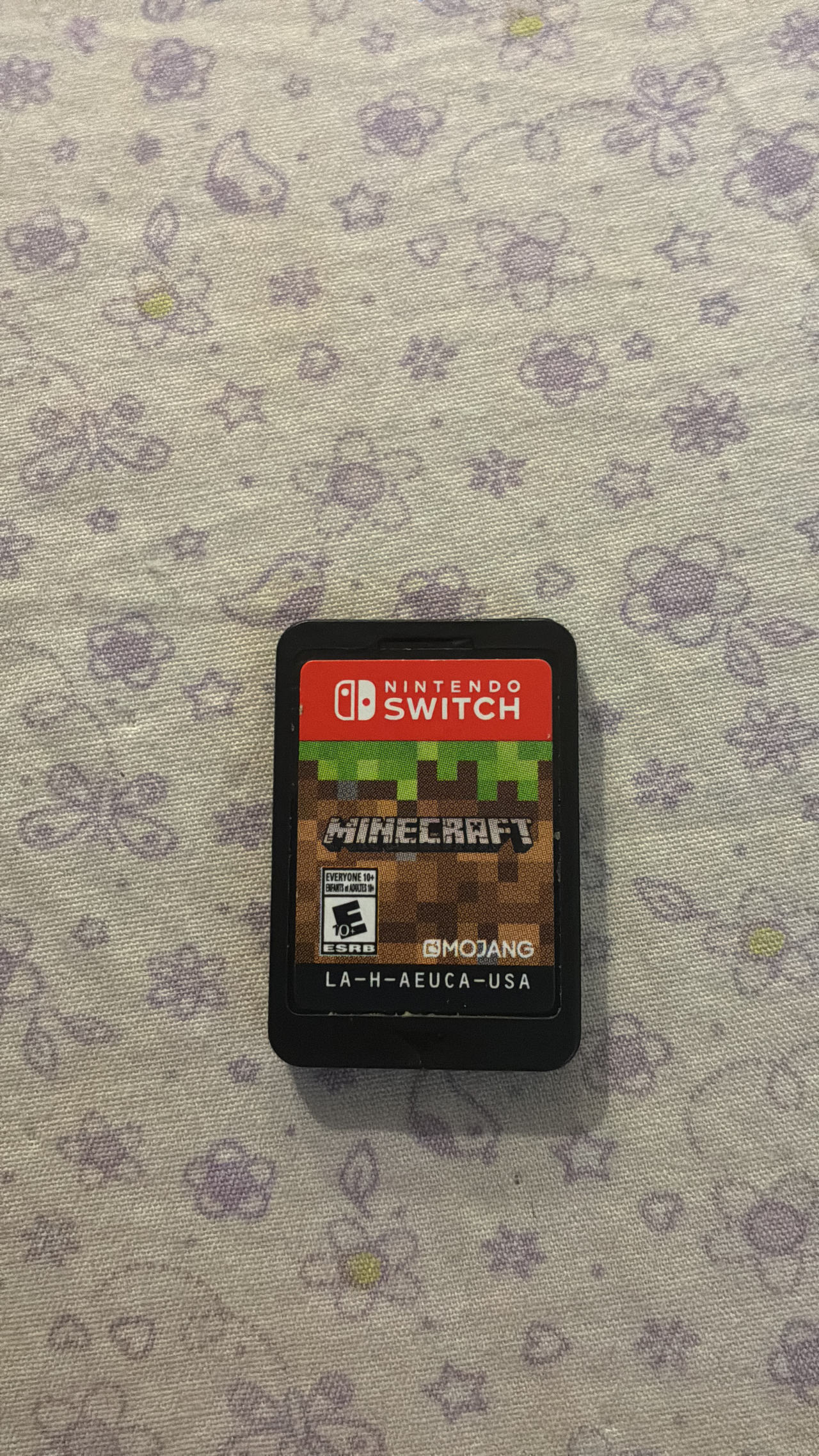 Minecraft