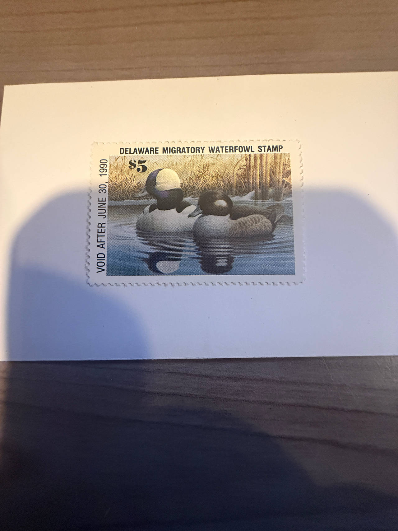 1989 Delaware Duck Stamp
