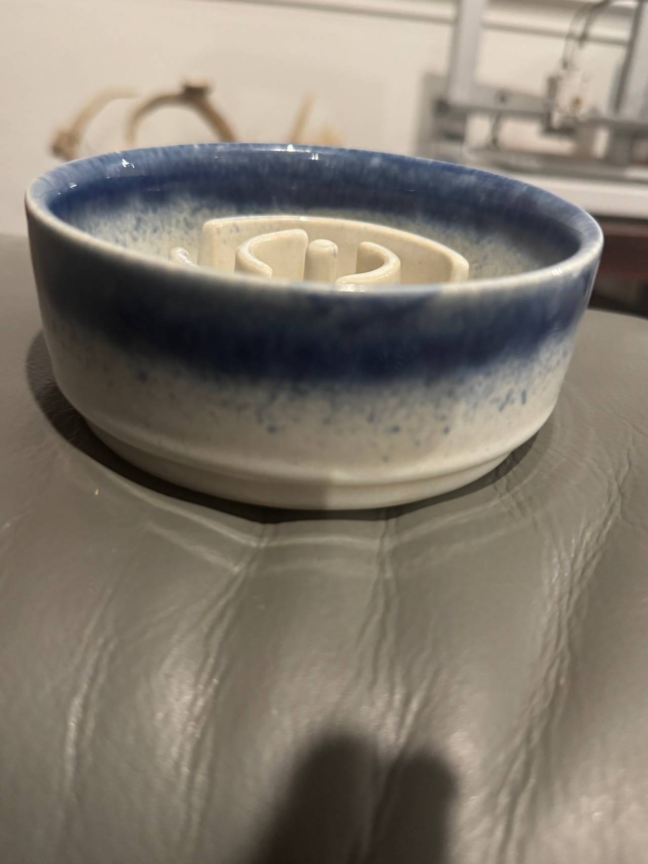 Ceramic Slow Feeder Pet Bowl