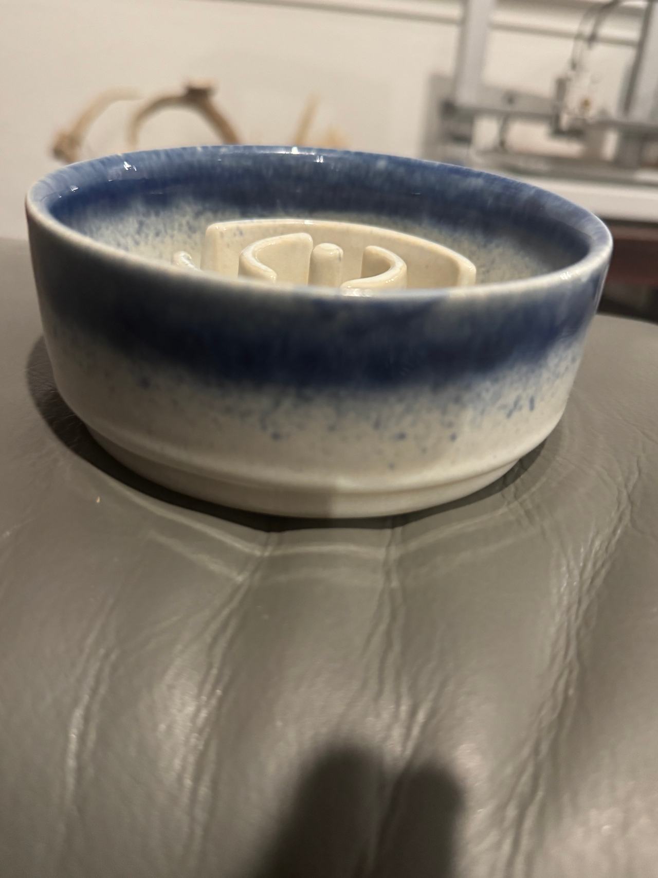 Ceramic Slow Feeder Pet Bowl