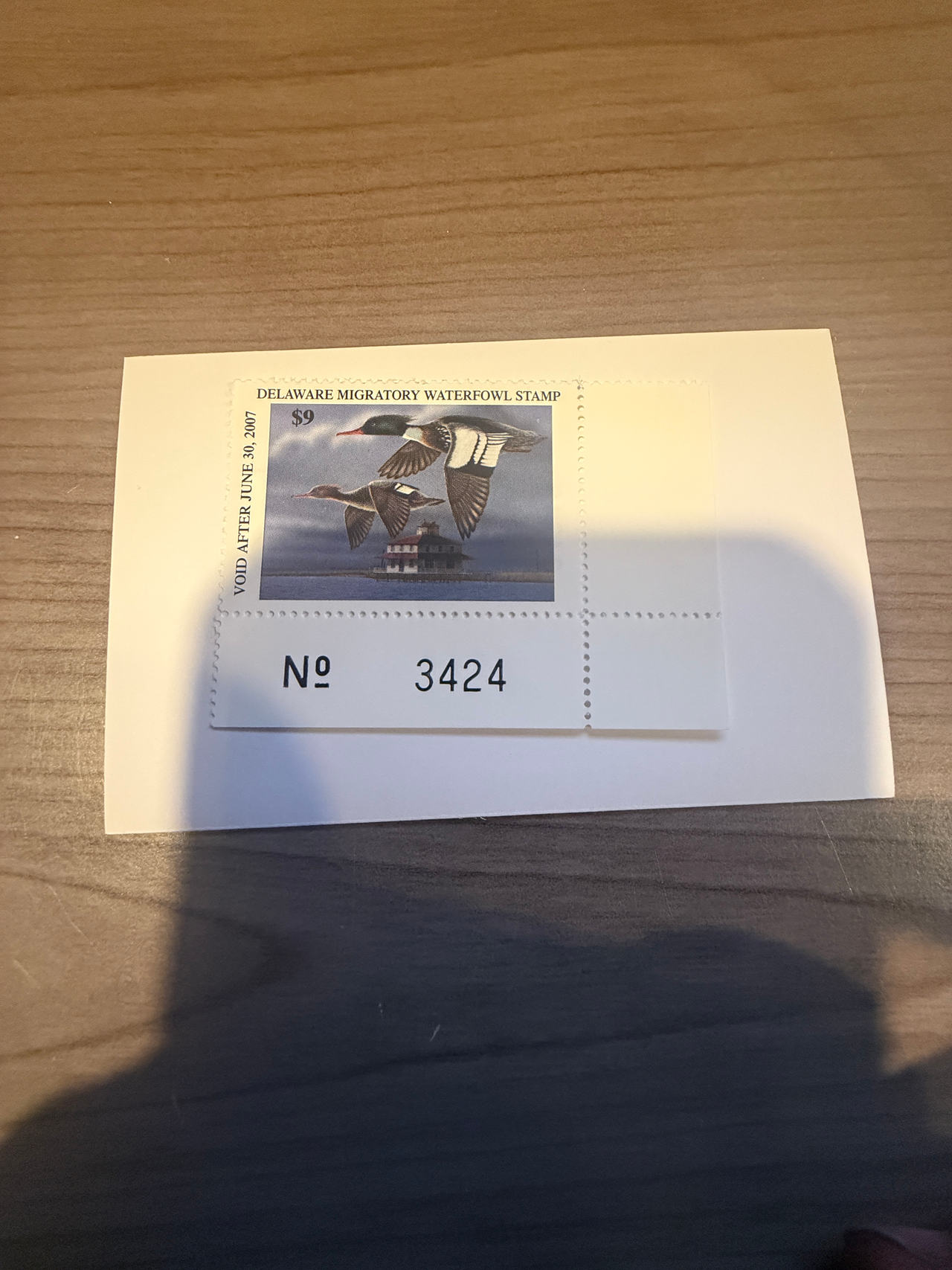 2006 Delaware Migratory Waterfowl Stamp