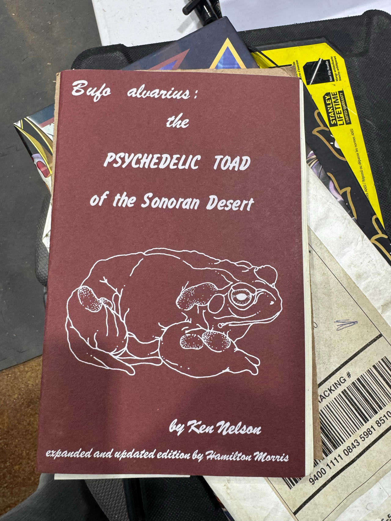 Bufo alvarius: The Psychedelic Toad of the Sonoran Desert