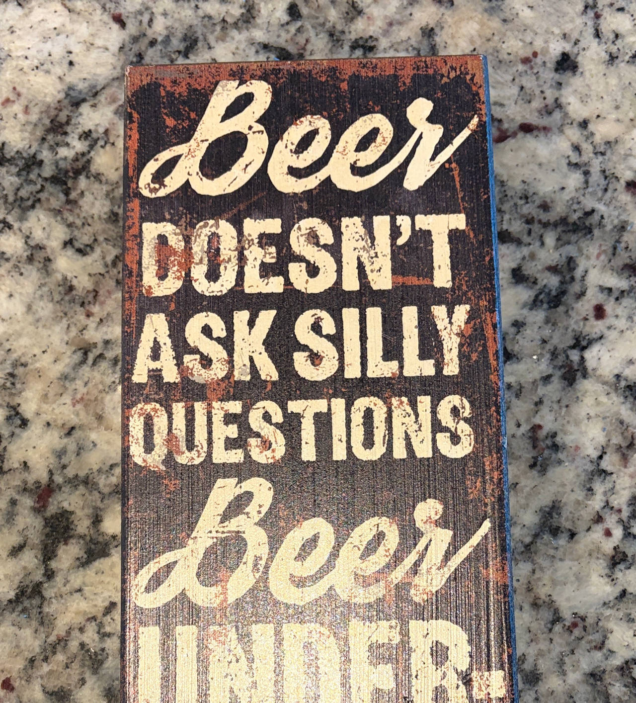 Beer Doesn't Ask Silly Questions Wooden Box Sign