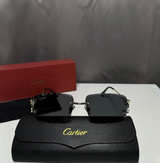 Cartier Sunglasses - Image 1