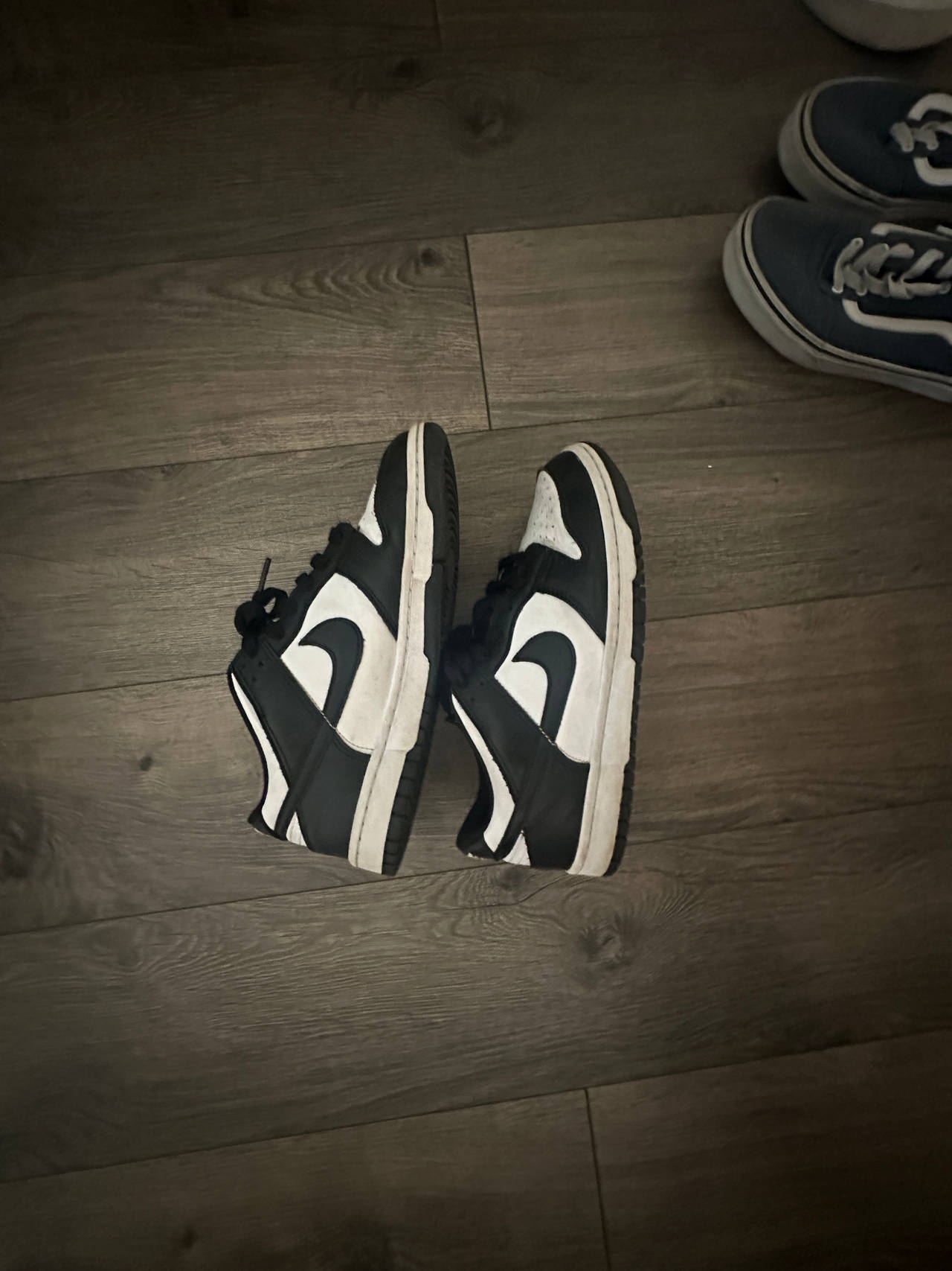 Nike Dunk Low