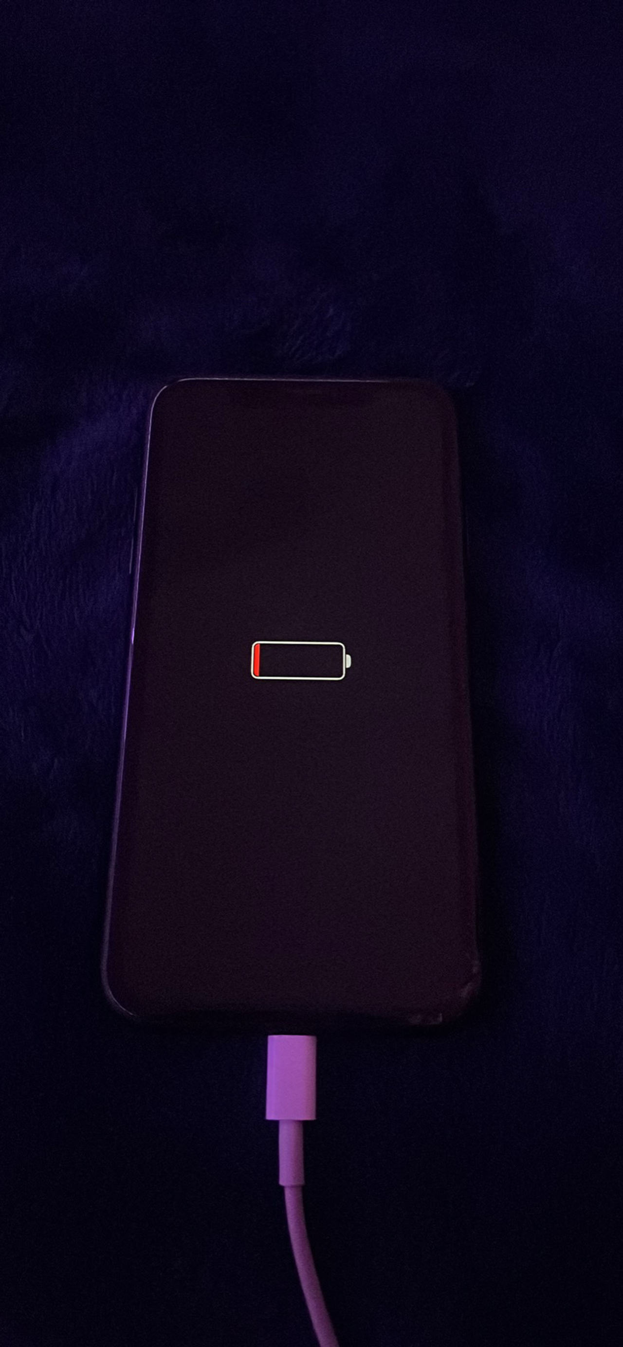 Apple iPhone