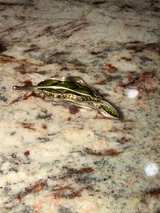 Liz Claiborne Green Enamel and Rhinestone Leaf Brooch - Image 3