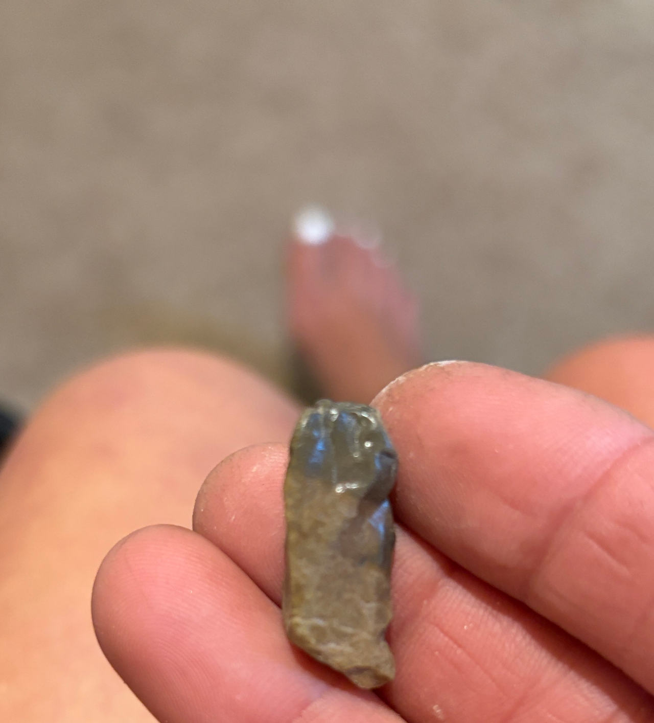 Chert Lithic Flake / Artifact Fragment