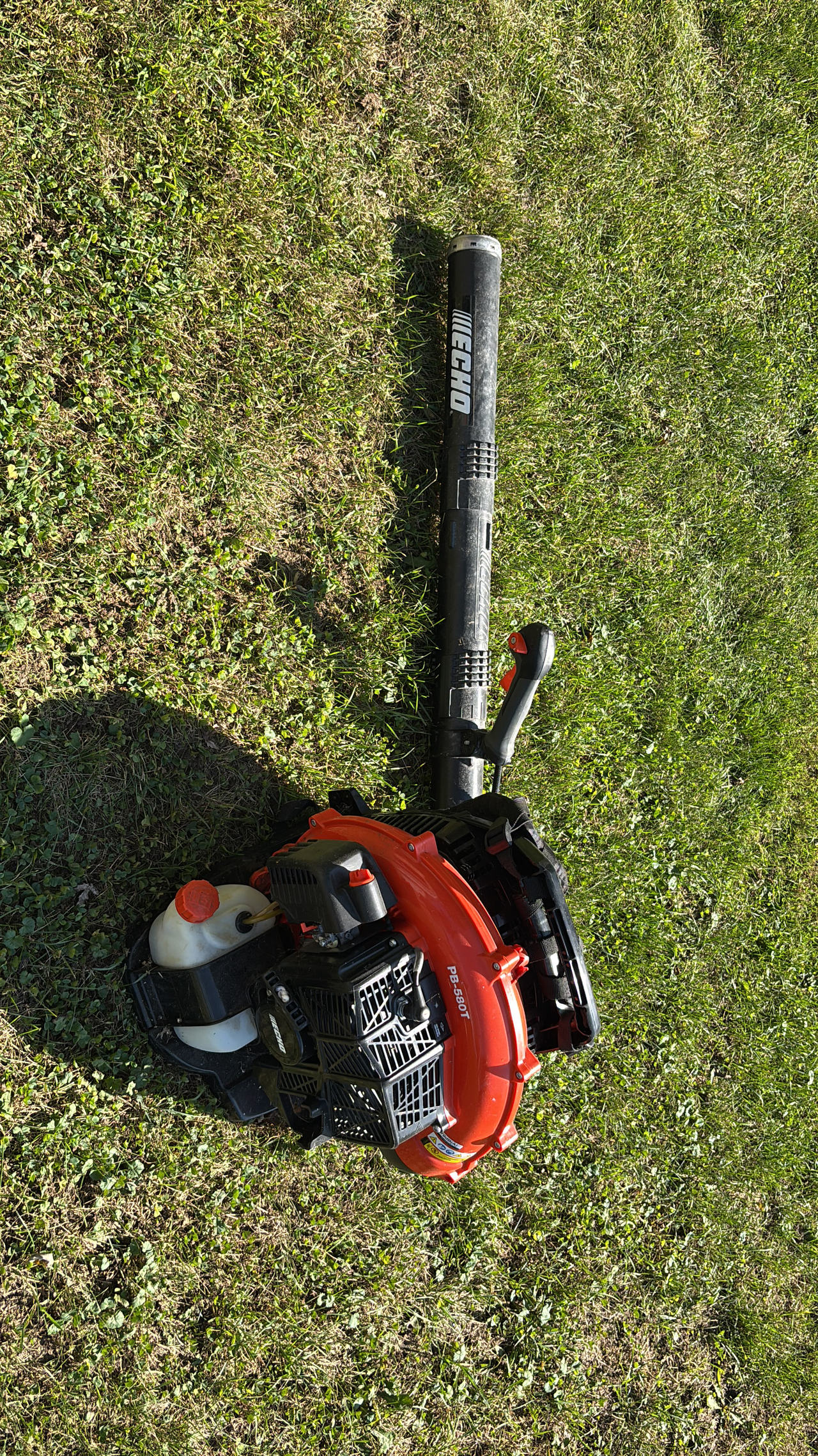 Echo Backpack Leaf Blower