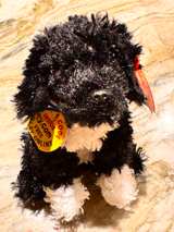 TY Beanie Baby Bo Portuguese Water Dog 6-inch Plush - Image 2
